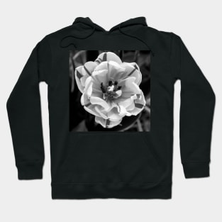 Black and White Flaming Parrot Hoodie